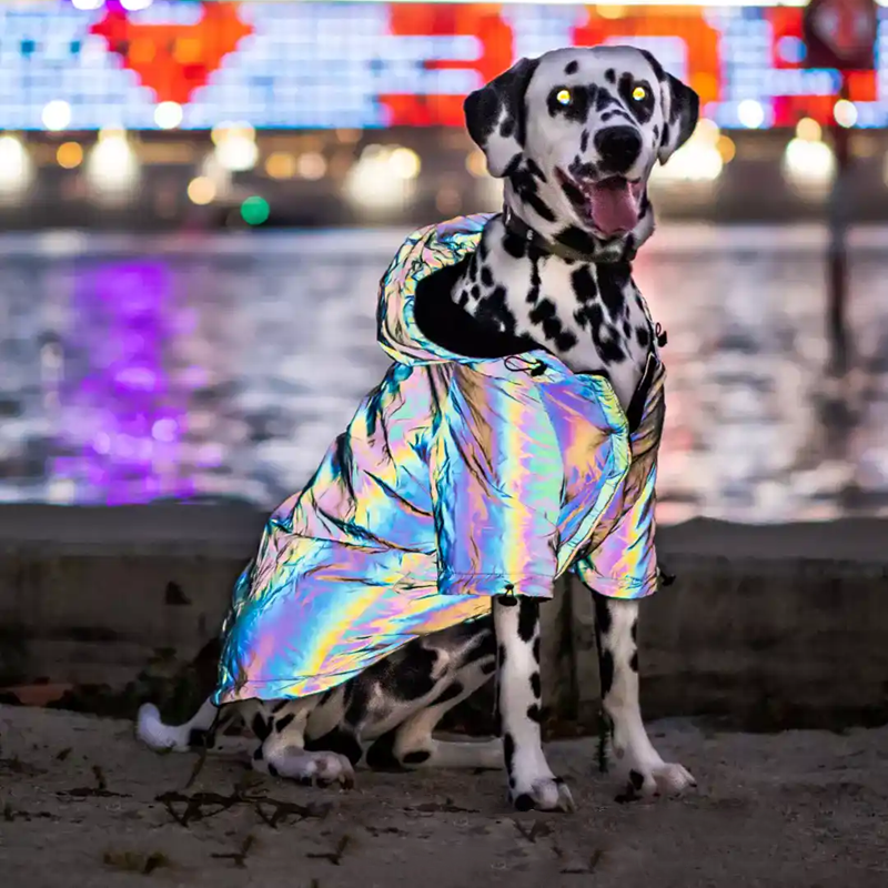 Reflective Dogs Jacket